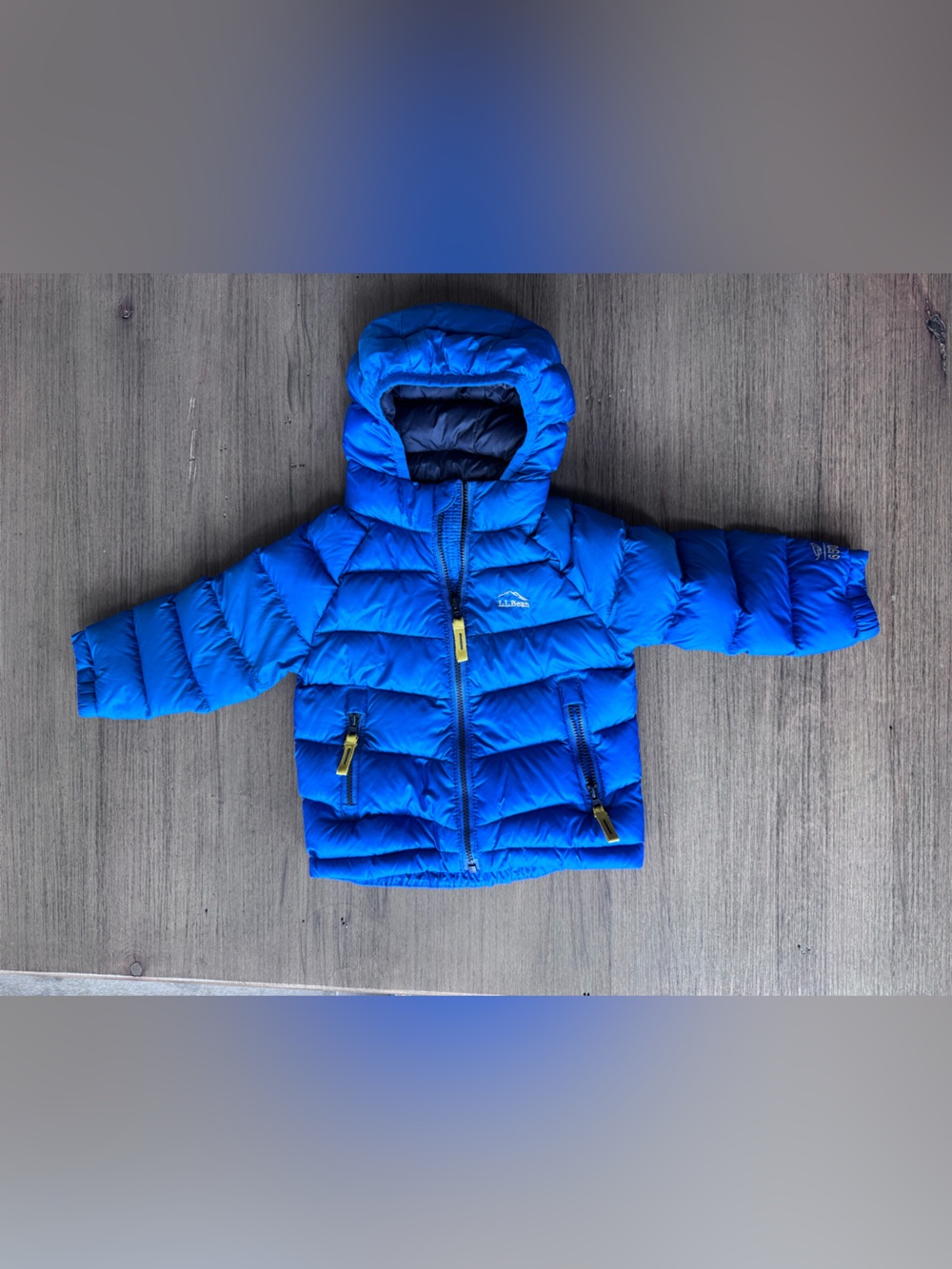 Patagonia Kids Bright Royal Blue Hooded Puffer Jacket